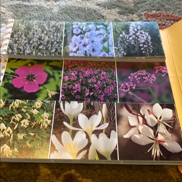 π The Garden Color Book on Flowers Spring Summer Flower Gardening P. Williams - Picture 6 of 10